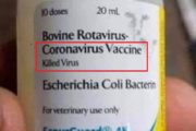 קורונה וירוס COVID-2019: כל מה שעוד לא שמעתם על הנגיף