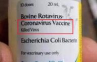 קורונה וירוס COVID-2019: כל מה שעוד לא שמעתם על הנגיף